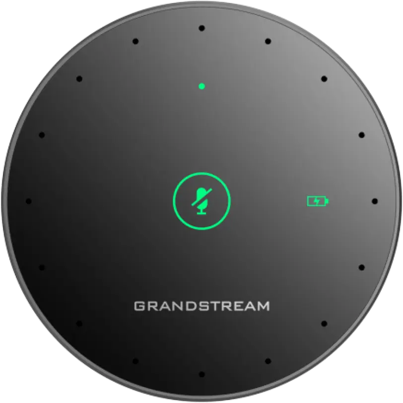 GRANDSTREAM GMD1208-Microphone d’Extension Sans Fil 